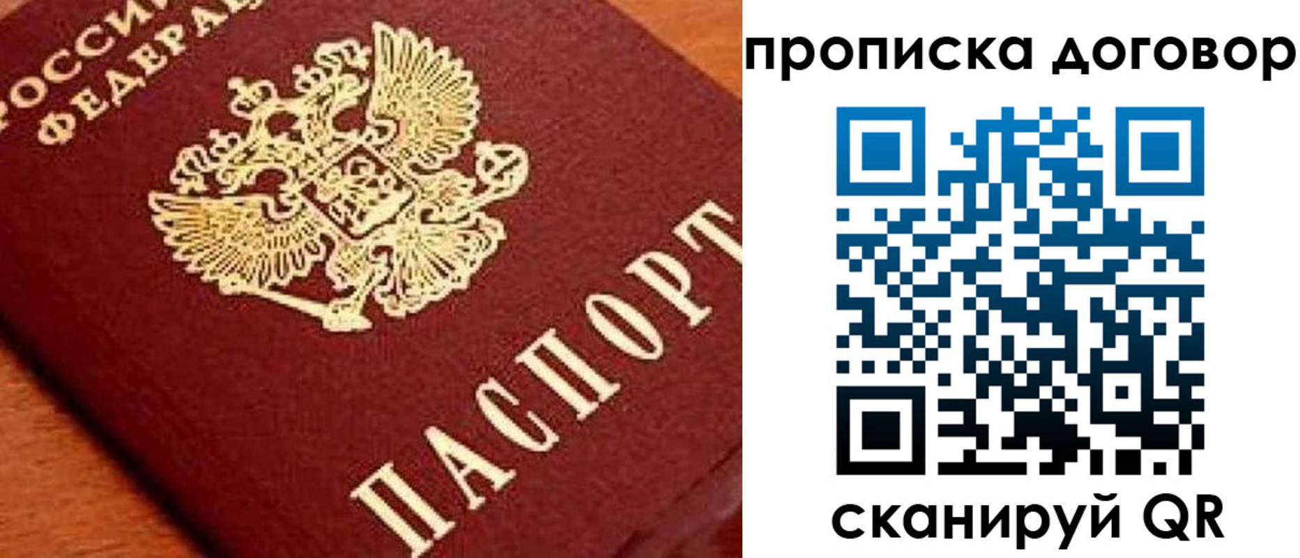 прописка поиск в Зее